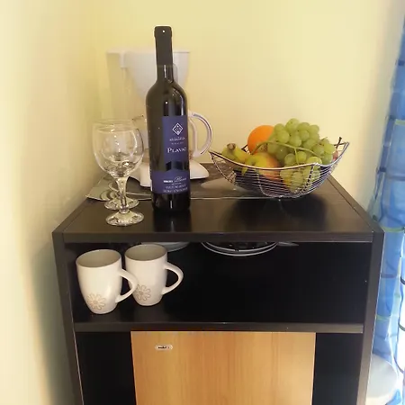 Viva Apartment Dubrovnik
